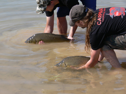 Catch and Release fishing