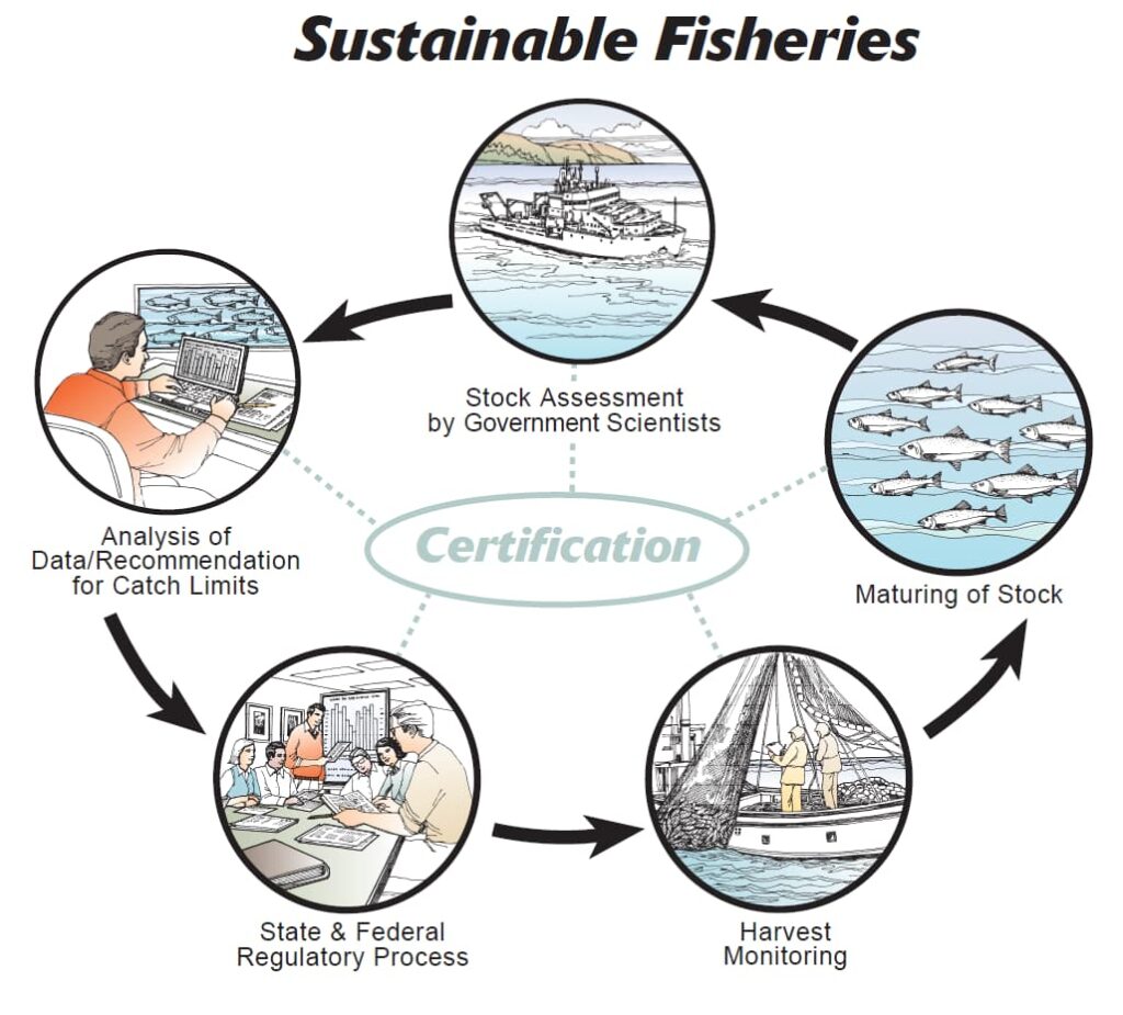 Fisheries Management